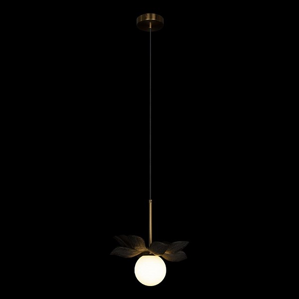 Подвесной светильник Loft it Monro черный арт. 10213/B Black