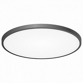 Накладной светильник Citilux Бейсик черный арт. CL738501V