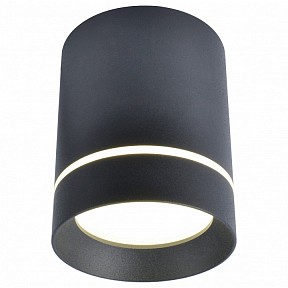 Накладной светильник Arte Lamp 1909 черный арт. A1909PL-1BK