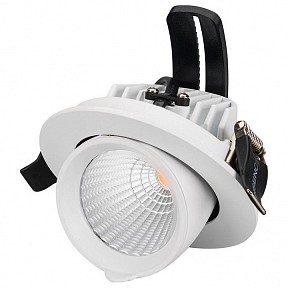 Встраиваемый светильник Arlight Ltd-Explorer белый арт. LTD-EXPLORER-R100-12W Warm3000 (WH, 38 deg)