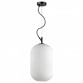 Подвесной светильник Odeon Light Roofi черный арт. 4752/1