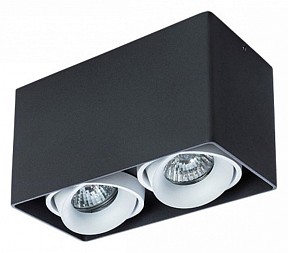 Накладной светильник Arte Lamp Pictor черный арт. A5654PL-2BK