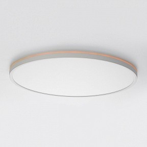 Накладной светильник Citilux NORMA белый арт. CL749500