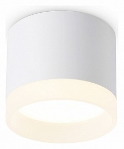 Накладной светильник Ambrella Light TN белый арт. TN5365
