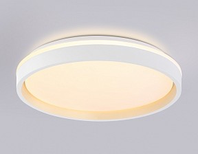 Накладной светильник Ambrella Light FZ белый арт. FZ607