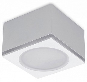 Накладной светильник Ambrella Light TN белый арт. TN266