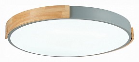 Накладной светильник EVOLUCE Delia дерево арт. SLE201372-01