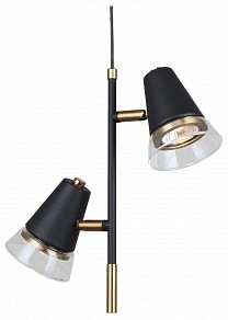 Подвесной светильник F-promo Trandy черный арт. 4618-2P