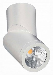 Светильник на штанге ST-Luce ST650 белый арт. ST650.532.10