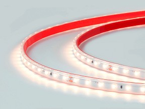 Лента светодиодная DesignLed DSG260S  арт. DSG260S-24-WW-67-20M