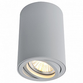 Накладной светильник Arte Lamp Sentry серый арт. A1560PL-1GY