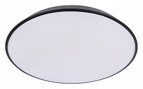 Накладной светильник Loft it Brim черный арт. 10226 Black