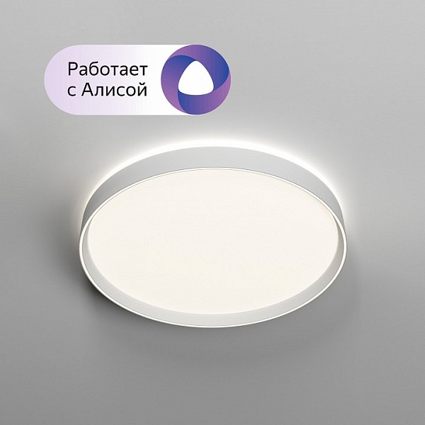Накладной светильник Denkirs PLATO белый арт. DK6511-WH/1