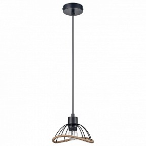 Подвесной светильник Vele Luce Formula черный арт. VL6482P01