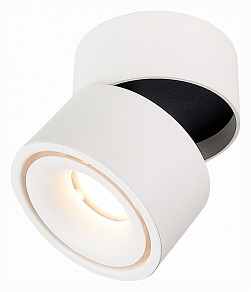 Светильник на штанге ST-Luce ST652 белый арт. ST652.542.12