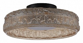 Накладной светильник ST-Luce ANTIKE черный арт. SL6143.422.01