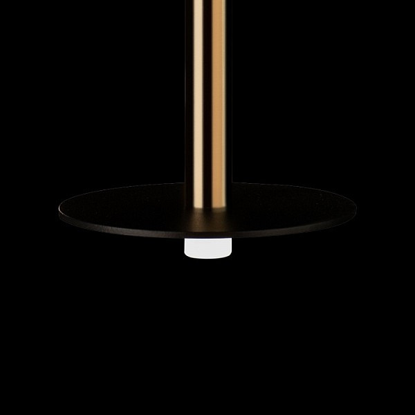 Подвесной светильник Loft it Reed латунь арт. 10358/830 Disk AB