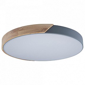 Накладной светильник Loft it Axel 3 серый арт. 10004/36 Grey