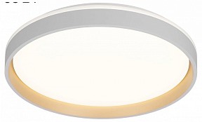 Накладной светильник Citilux ENZO белый арт. CL753450G
