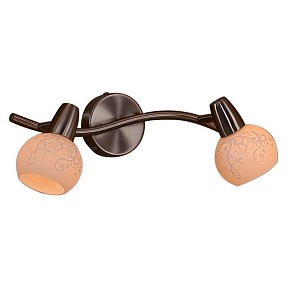 Спот Citilux Соната металл арт. CL520521