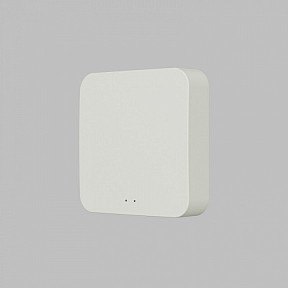 Контроллер Denkirs ZigBee Control белый арт. DK7402-WF