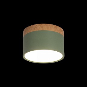Накладной светильник Loft it Grape коричневый арт. 10162 Green