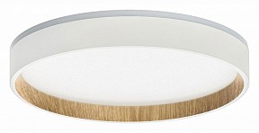 Накладной светильник Citilux Etalon  арт. CL750240