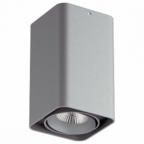 Спот Lightstar Monocco серый арт. 52339
