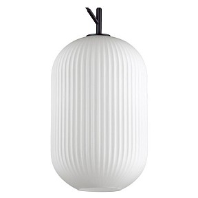 Подвесной светильник Odeon Light Roofi черный арт. 4752/1