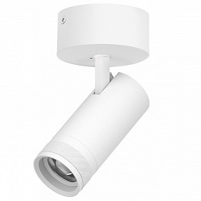 Спот Lightstar Canno Pro белый арт. C4206SO