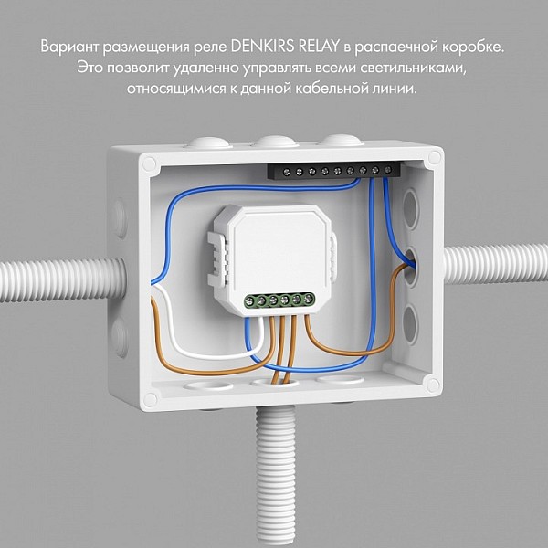 Контроллер Denkirs Relay белый арт. RL1004-DM/1