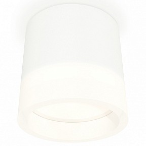 Накладной светильник Ambrella Light XS белый арт. XS8110001