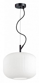 Подвесной светильник Odeon Light Roofi черный арт. 4754/1