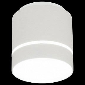 Накладной светильник Citilux Борн белый арт. CL745020N