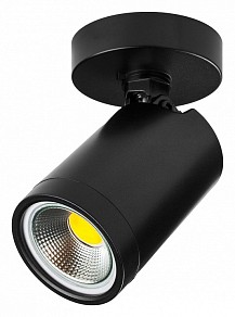 Светильник на штанге Lightstar Rullo  арт. 213407
