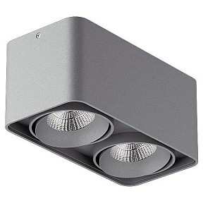 Накладной светильник Lightstar Monocco серый арт. 052129-IP65