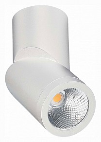 Светильник на штанге ST-Luce ST650 белый арт. ST650.542.10