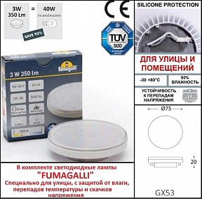 Встраиваемый светильник Fumagalli Leti белый арт. 2C2.000.000.WYG1L
