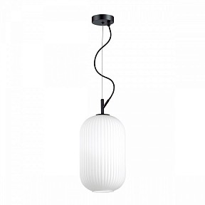 Подвесной светильник Odeon Light Roofi черный арт. 4751/1
