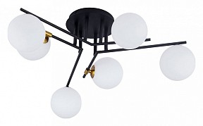 Потолочная люстра Arte Lamp Gemini черный арт. A2243PL-6BK