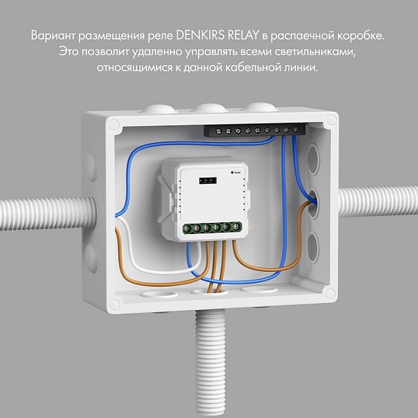 Контроллер Denkirs Relay белый арт. RL1001-SM