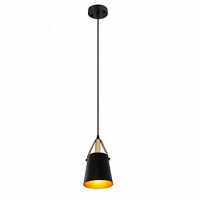 Подвесной светильник Arte Lamp Thomas черный арт. A7032SP-1BK