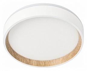 Накладной светильник Citilux Etalon  арт. CL750180