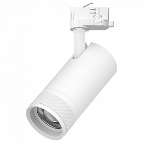Светильник на штанге Lightstar Canno Pro белый арт. C4306QT