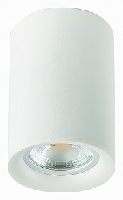 Накладной светильник ST-Luce ST114 белый арт. ST114.507.01