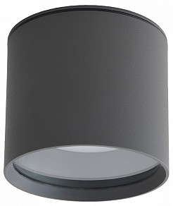 Накладной светильник Apeyron Electrics  графитовый арт. 11-115
