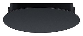 Накладной светильник Arte Lamp Rapid черный арт. A6163PL-1BK