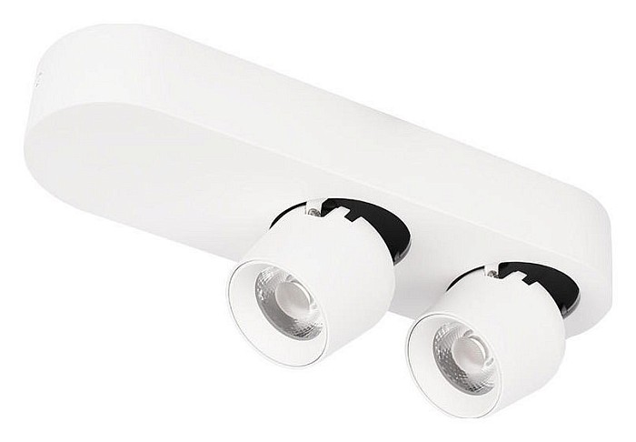 Накладной светильник Loft it Quiet белый арт. 10320/2 White