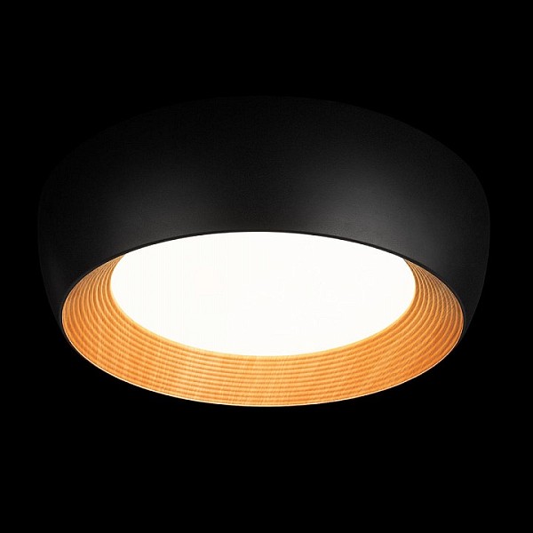 Накладной светильник Loft it Folk черный арт. 10255/500 Black