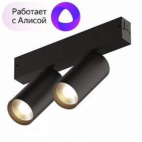 Светильник на штанге Denkirs Smart черный арт. DK8012-BK